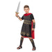 Roman Soldier Costume Small (4-6 Years)