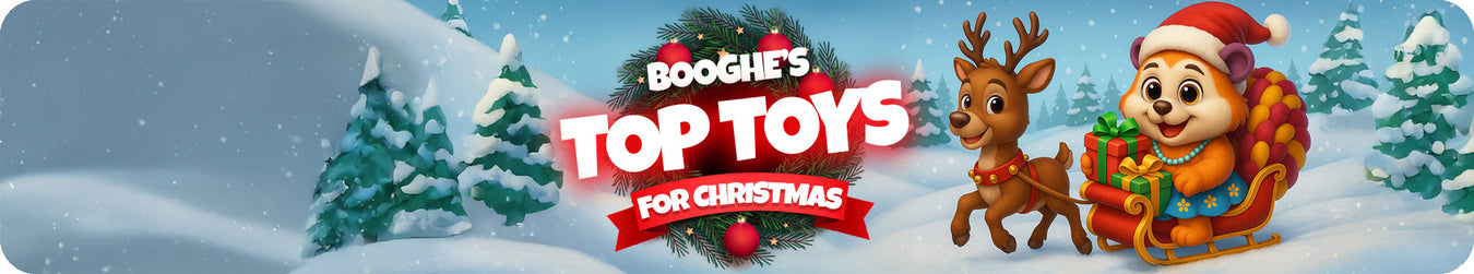 Booghe's Top Toys for Christmas