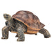 Mojo Fun Wildlife Giant Tortoise Figure