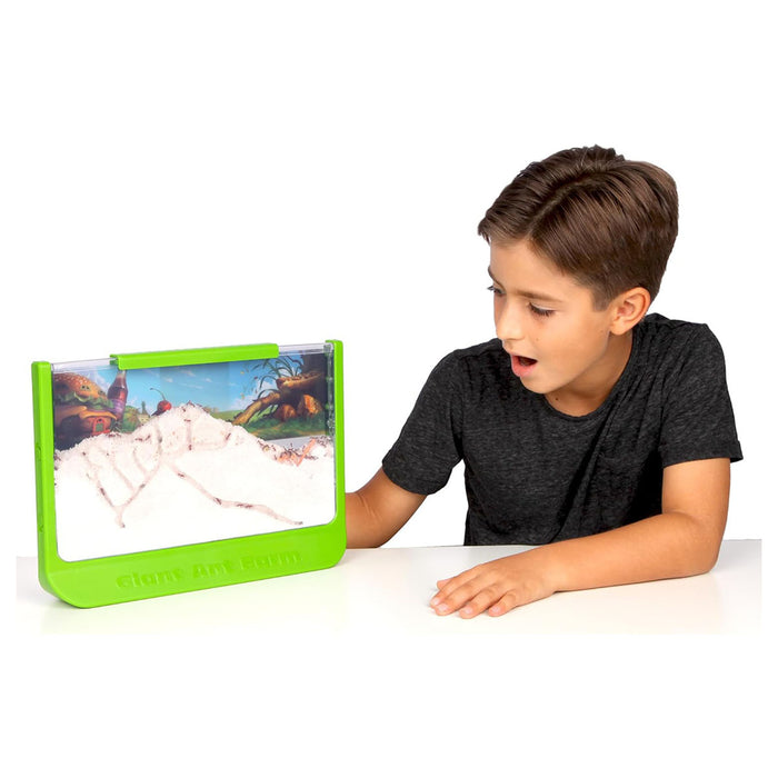 Giant Ant Farm Kit