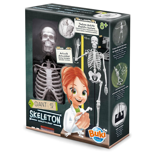 Buki Skeleton 45cm Model