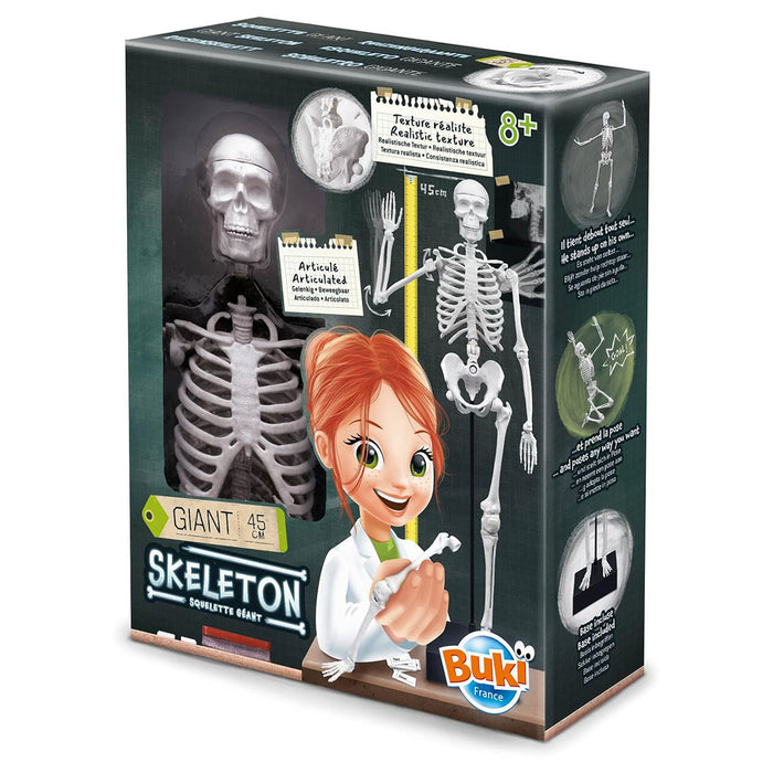 Buki Skeleton 45cm Model