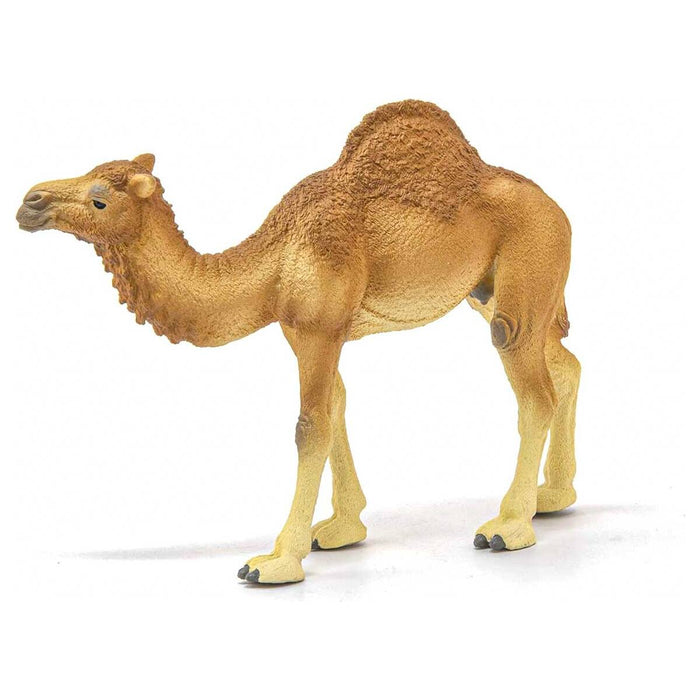 Schleich Wild Life Dromedary Figure