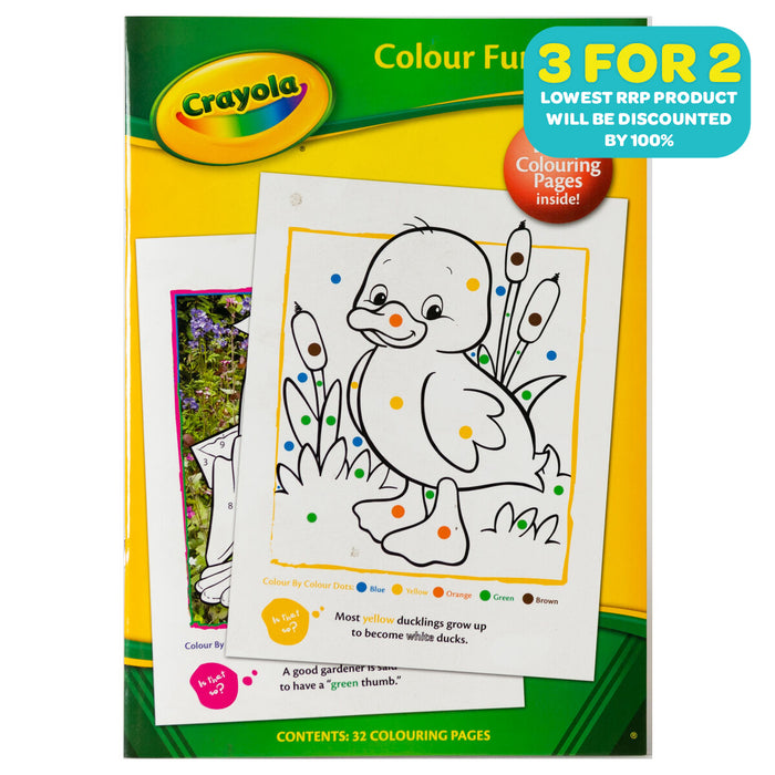 Crayola Activity Book