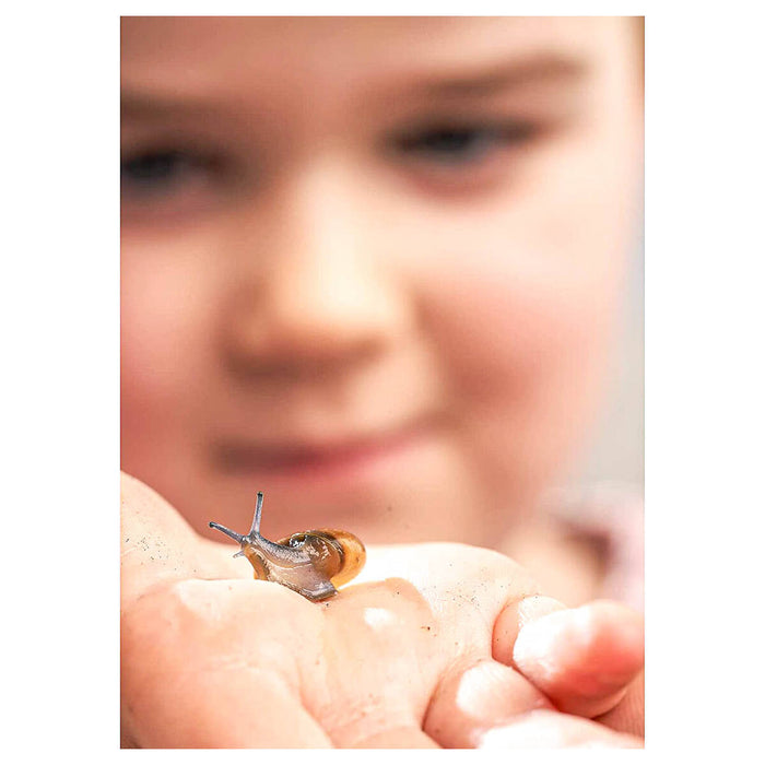 Nick Baker's Snail World Kit