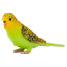 Budgerigar Green Figure