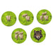 Carcassonne: Sheep & Shepherds Game Expansion #9