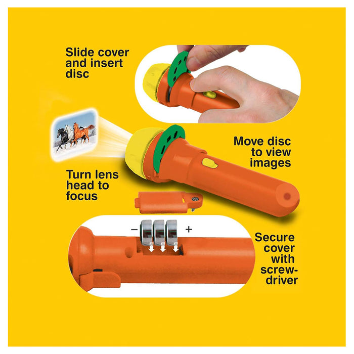 Brainstorm Horse Torch & Projector