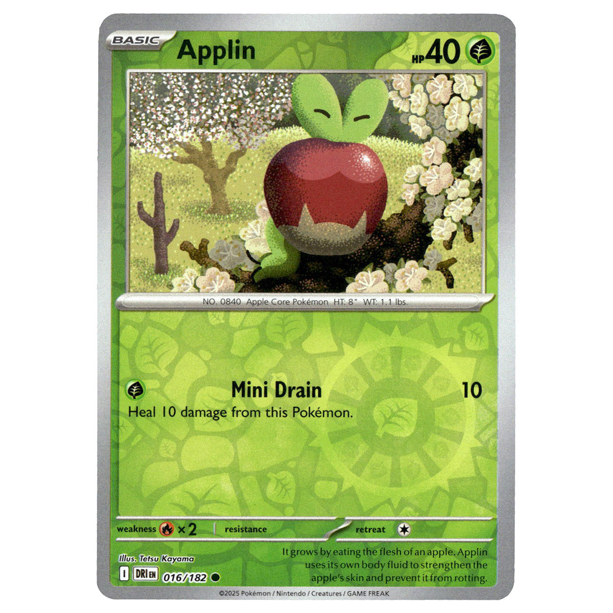 Applin #016/182 Pokémon SV10: Destined Rivals Reverse Holo — Booghe