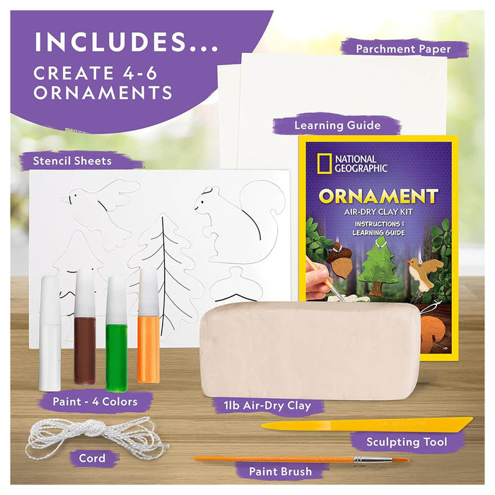 National Geographic Ornament Air-dry Clay Kit
