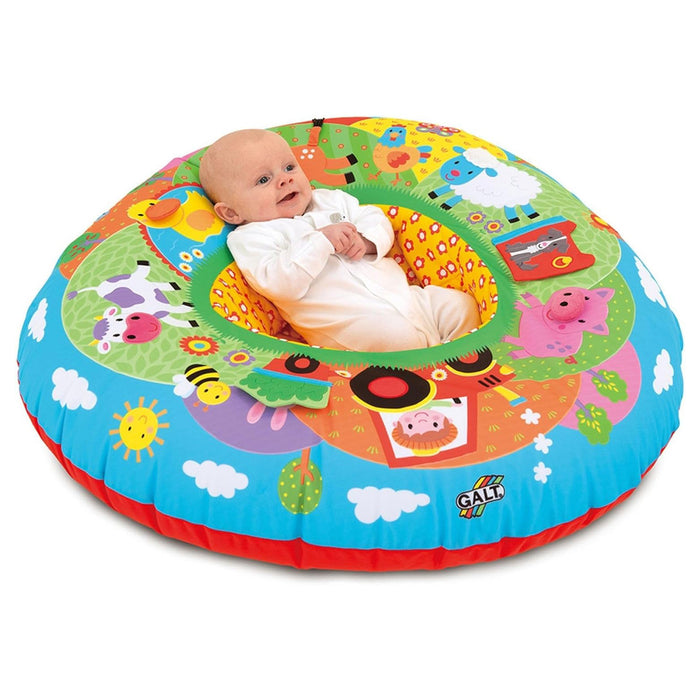 Galt Farm Playnest & Gym