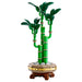 LEGO Botanical Collection Lucky Bamboo 10344 Building Set