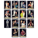 Panini PDC 2026 World Championship Darts Sticker Collection Multipack
