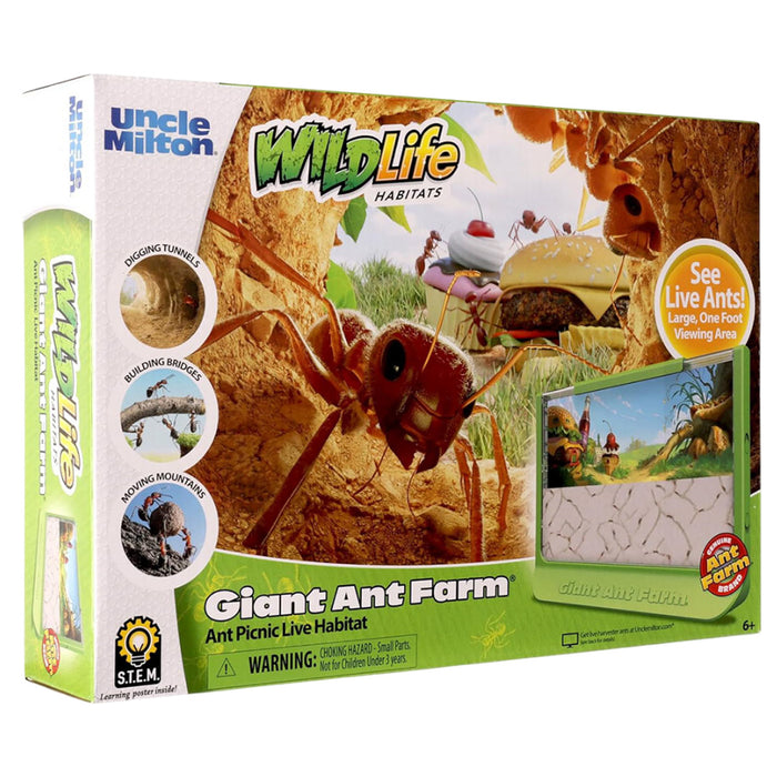 Giant Ant Farm Kit