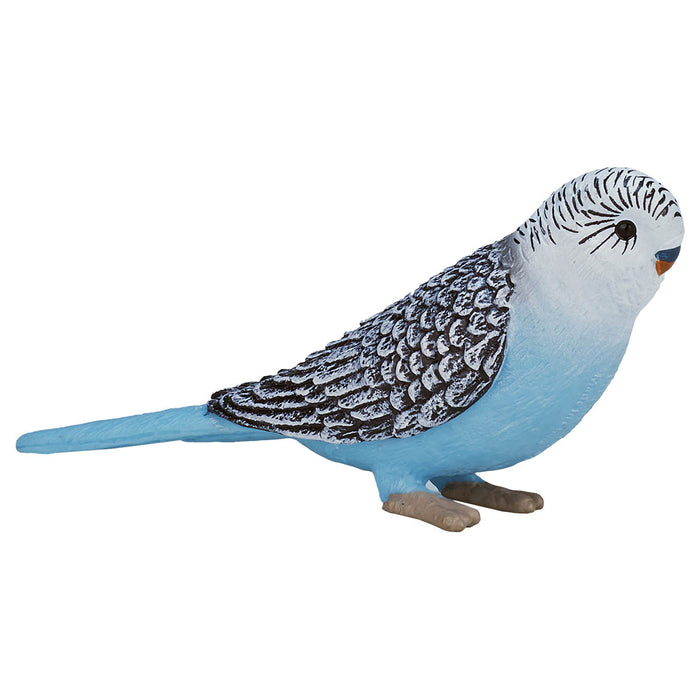 Budgerigar Blue Figure