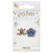 Harry Potter Chocolate Frog Pin Badge