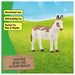 Schleich Farm World American Spotted Donkey Figure