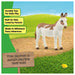 Schleich Farm World American Spotted Donkey Figure