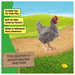 Schleich Farm World Plymouth Rock Chicken Figure