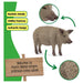 Schleich Farm World Mangalica Pig Figure