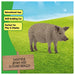 Schleich Farm World Mangalica Pig Figure
