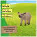 Schleich Farm World Mangalica Piglet Figure