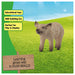 Schleich Farm World Mangalica Piglet Figure