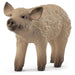 Schleich Farm World Mangalica Piglet Figure