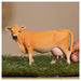 Schleich Farm World Jersey Cow Figure