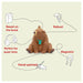 Tonies Toniebox We're Going on a Bear Hunt Audio Figure
