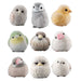 Mofu Mofu Tenori Friends W3 Birds Figure (styles vary)