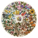 Gibsons The Art File: Nature's Seasons 500 Piece Circular Jigsaw Puzzle