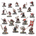 Warhammer Age of Sigmar: Introductory Set Miniatures
