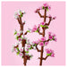 LEGO Botanicals Cherry Blossoms Building Set