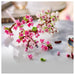 LEGO Botanicals Cherry Blossoms Building Set