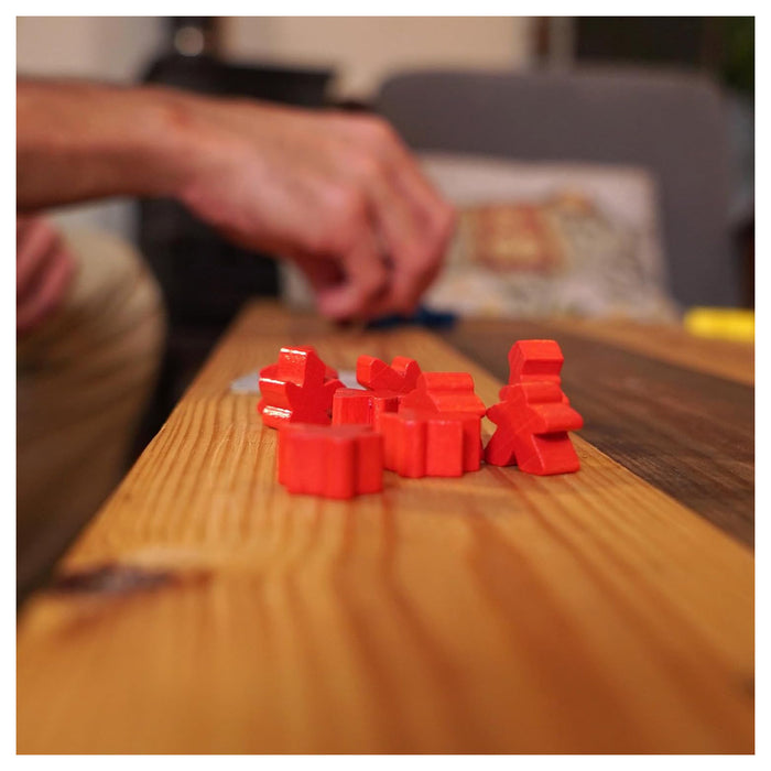 My First Carcassonne Game