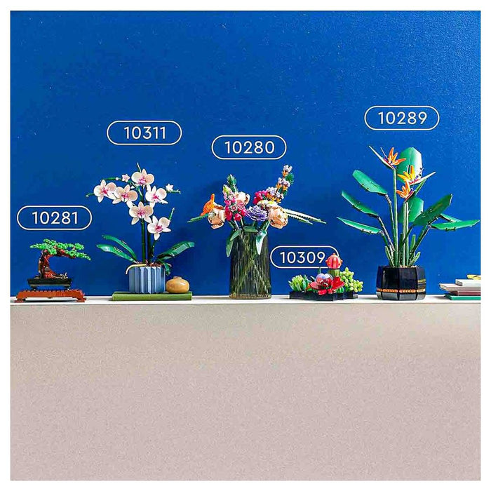 lego succulents 10309 plant decor building kit LEGO Botanical Collections: Succulents 10309 Building Set — Booghe