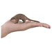 Mojo Wildlife Indian Pangolin Figure