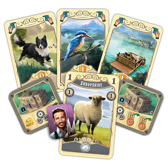 Great Western Trail: New Zealand Board Game