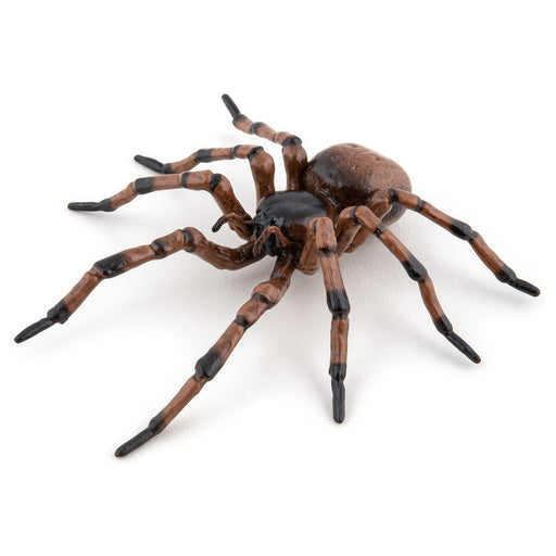 Papo Wild Life Common Spider Figure