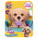 Little Live Pets My Really Real Puppy Bailey Interactive Pet