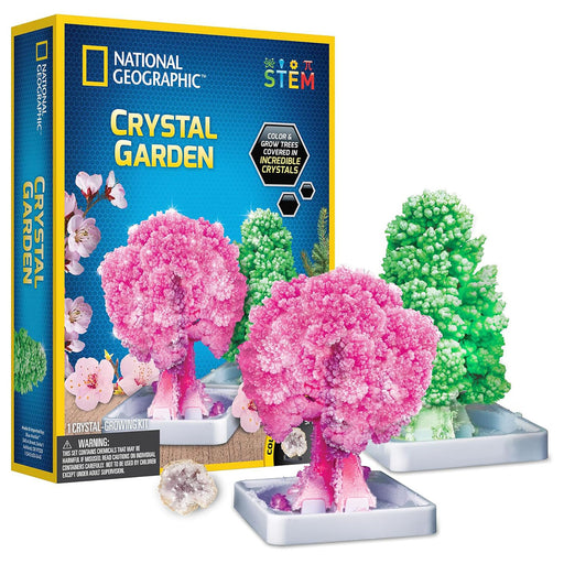 National Geographic Crystal Garden Kit