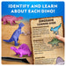 National Geographic Dinosaur Excavation Dig Kit