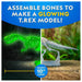 National Geographic Glow-in-the-Dark T. Rex Dissection Lab Kit