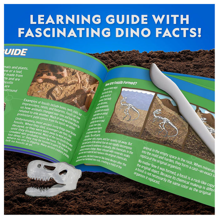 National Geographic Glow-in-the-Dark T. Rex Dissection Lab Kit