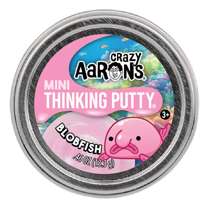 Crazy Aaron's Mini Thinking Putty 13.3g (styles vary)