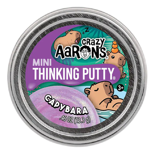 Crazy Aaron's Mini Thinking Putty 13.3g (styles vary)