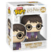 Funko Bitty Pop! Rides: Harry Potter and Hogwarts Express Vinyl Figures