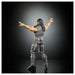 WWE Elite Collection Wrestlemania Seth Rollins 6" Figure
