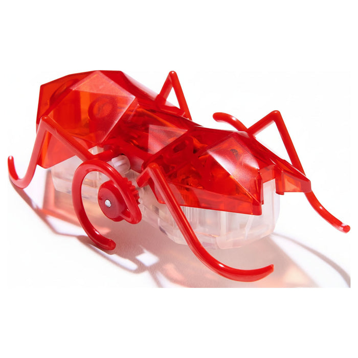 Hex Bots Micro Ant Red Mini Robot Bug